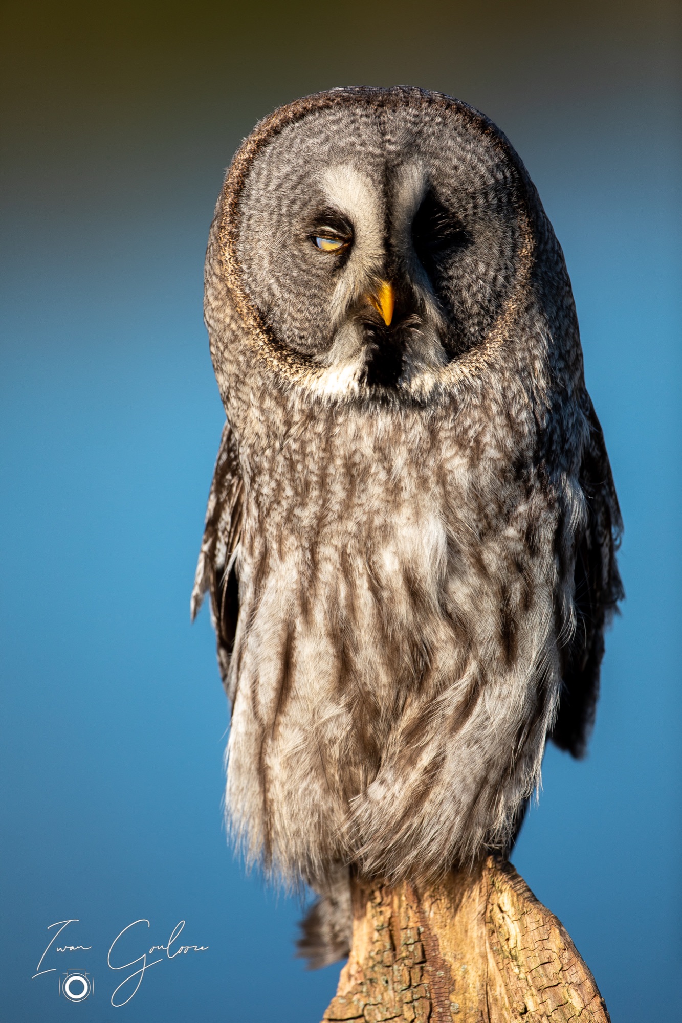 27 maart 2022 165603  5D45397